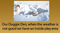 Doggie Den